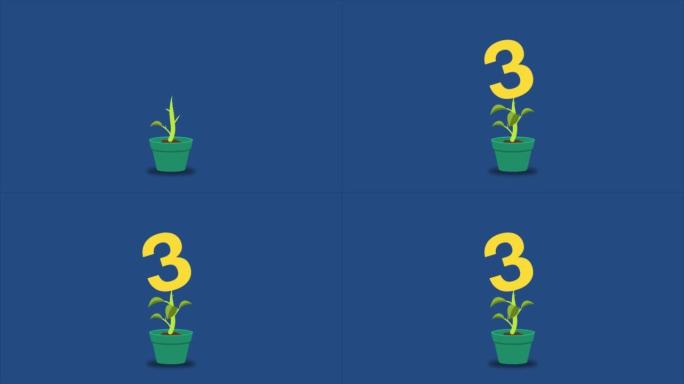 植物生长三号的财务增长概念