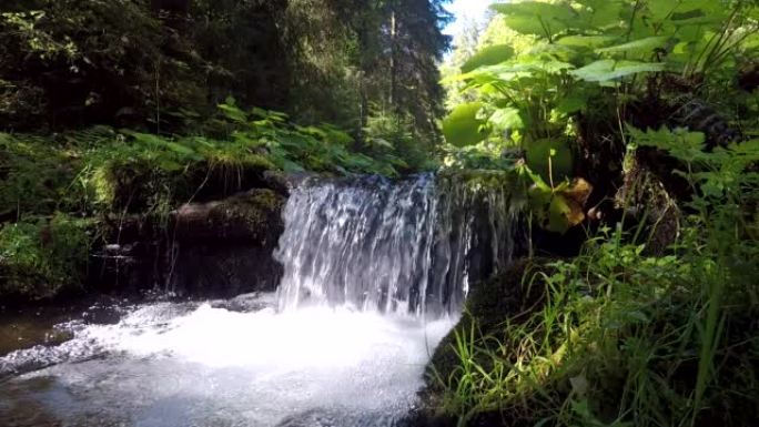 森林小溪上美丽的小瀑布，原声