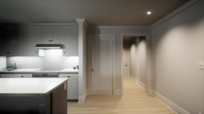 厨房内部的3D可视化动画。里面有新的空房子。