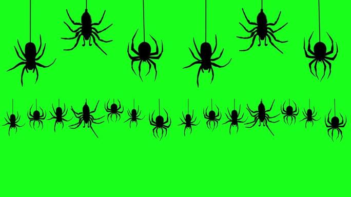 绿屏背景上有网的黑蜘蛛