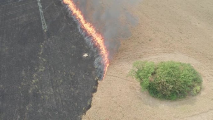 燃烧的农田。消防部门扑灭的巨大谷物大火。