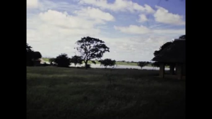 肯尼亚1977，非洲savana动物