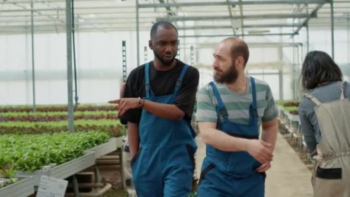 有机种植园农民，在工作的第一天就向新的非洲裔美国雇员介绍日常任务。