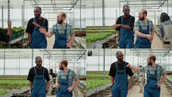 有机种植园农民，在工作的第一天就向新的非洲裔美国雇员介绍日常任务。