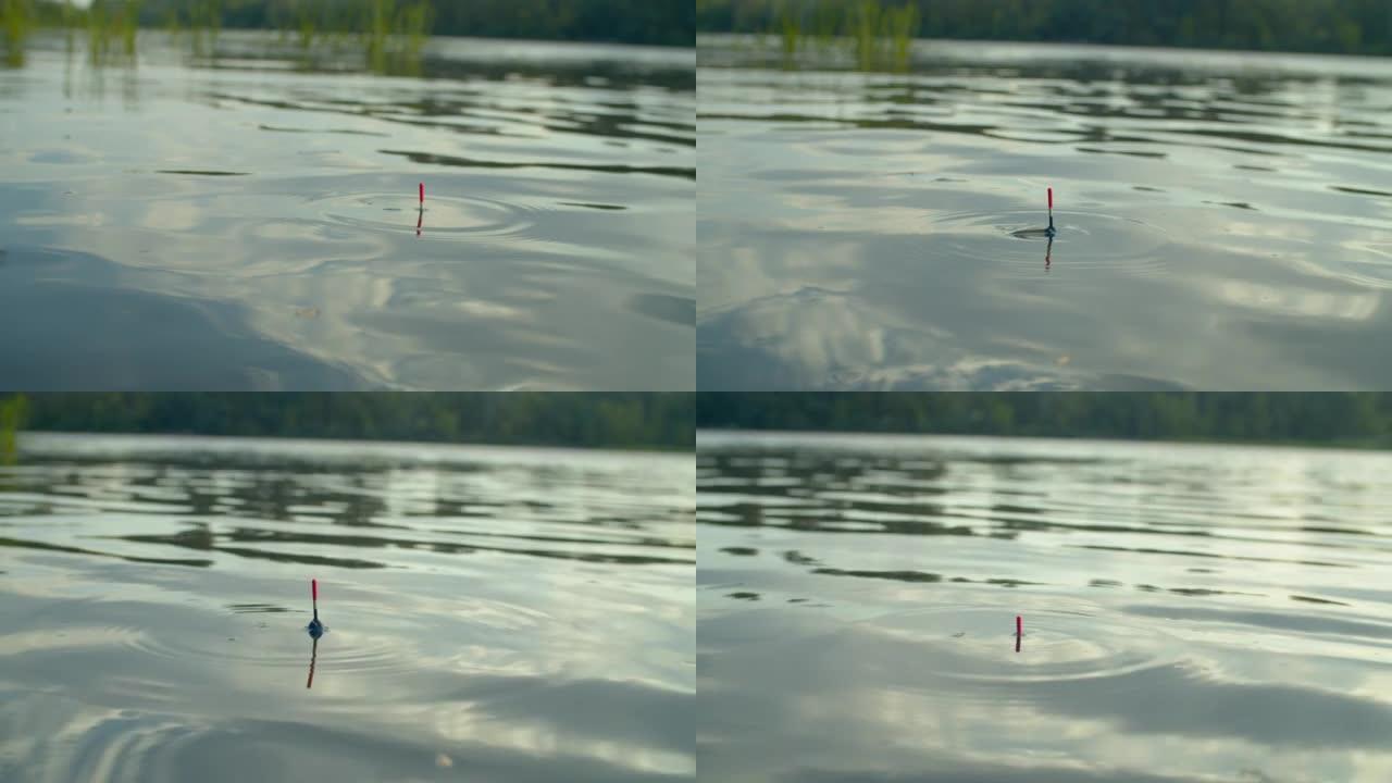 钓鱼在水面上漂浮的特写镜头提醒钓鱼时咬人