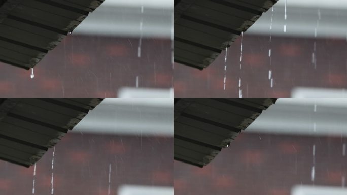 下雨升格慢镜头4K实拍