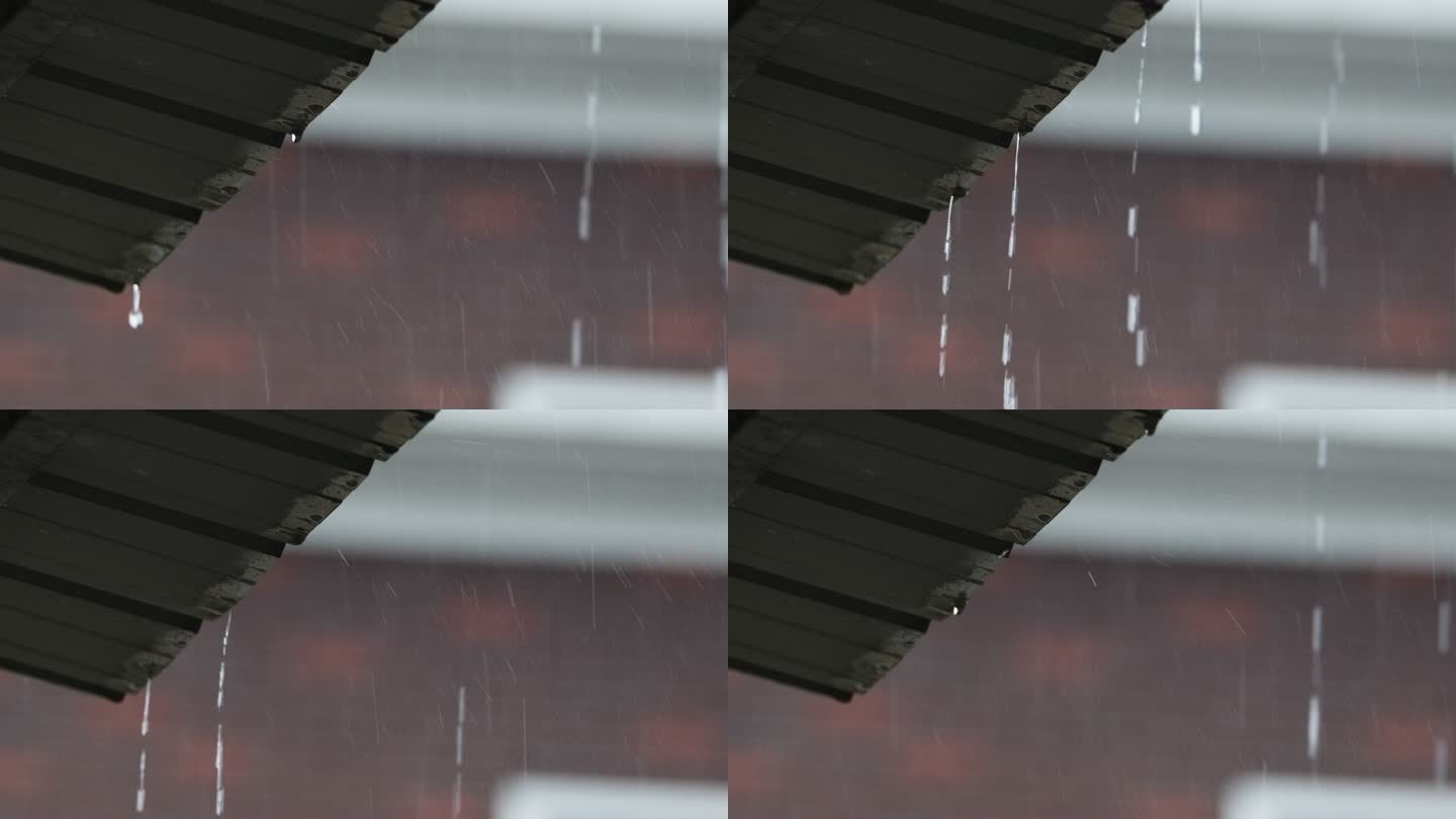下雨升格慢镜头4K实拍