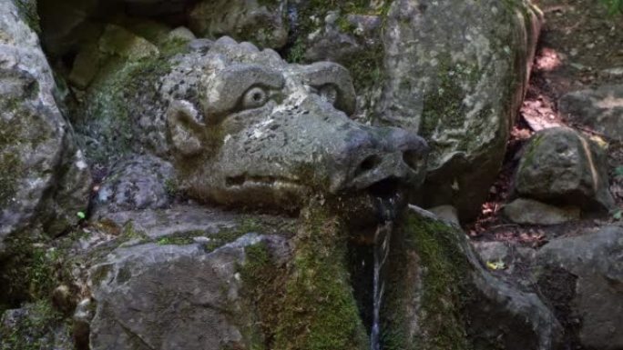 保加利亚的自然-维托沙山的喷泉 “活水”。从侧面拍摄，特写