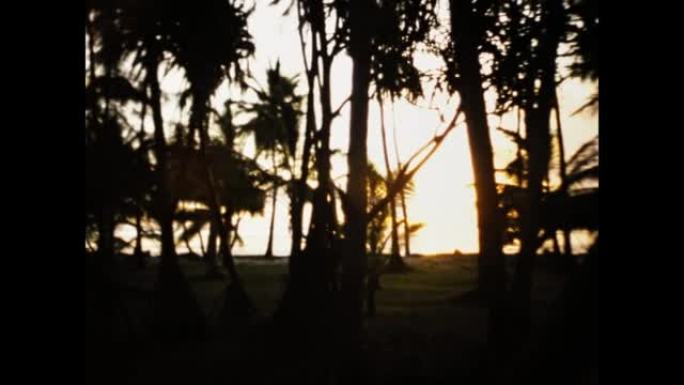 肯尼亚1977，橙色日落棕榈