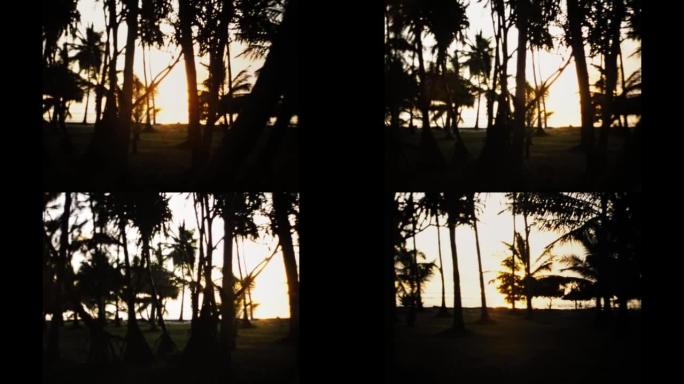 肯尼亚1977，橙色日落棕榈