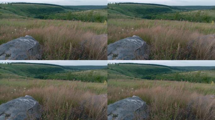 背景中山沟上的野生夏草在风中摇曳，前景中是石英岩砂岩