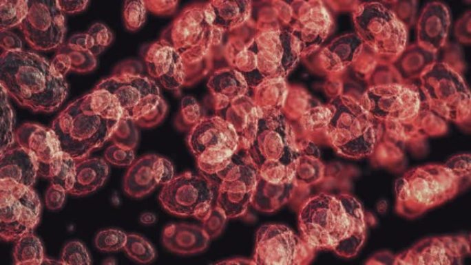 猴痘细胞肿瘤细胞白血病细胞医疗科研细胞