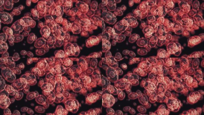 猴痘细胞肿瘤细胞白血病细胞医疗科研细胞