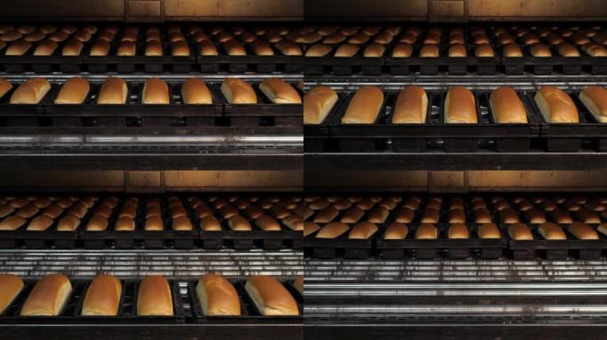 工业面包店工厂用烤箱烤出的白面包