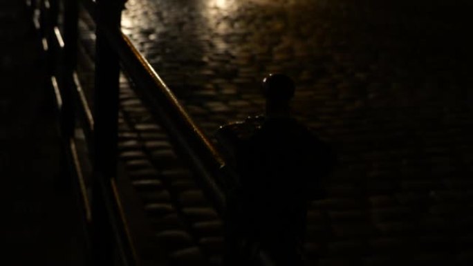 金属栅栏和夜间铺路石的前灯反射。