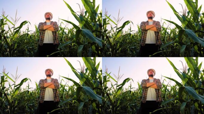 戴着帽子的年轻人农民的仰视图正站在玉米田里，双臂交叉向前看。