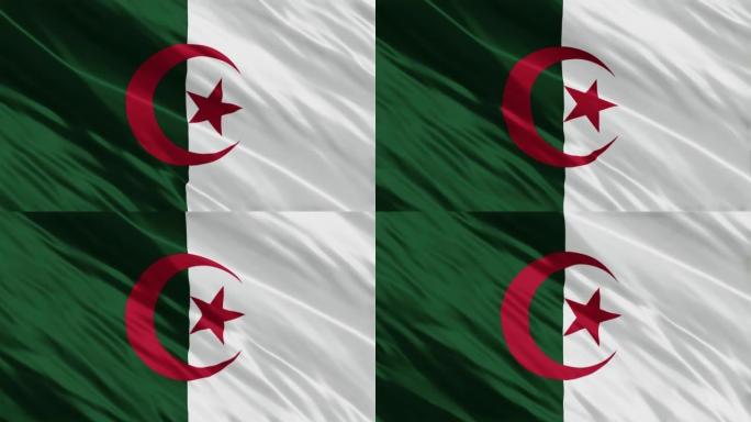 4K阿尔及利亚国旗动画库存视频-阿尔及利亚国旗挥舞-阿尔及利亚国旗库存视频
