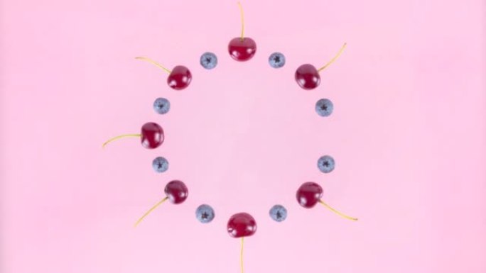 排列成一圈的4k樱桃和蓝莓浆果交替向中心会聚。粉色背景。