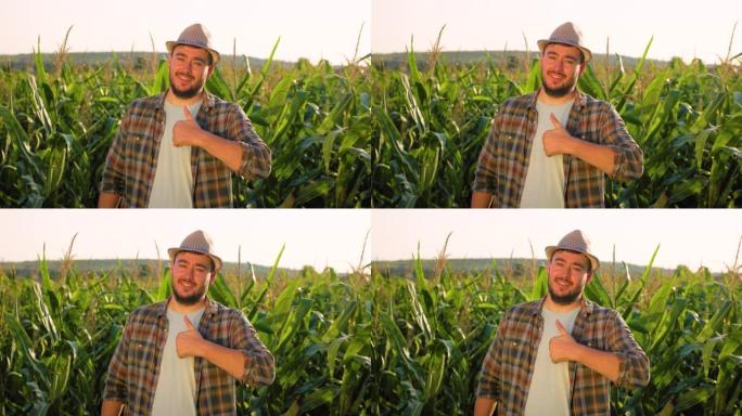 年轻的农民站在玉米田里，露出拇指，满意的前视图看着相机。