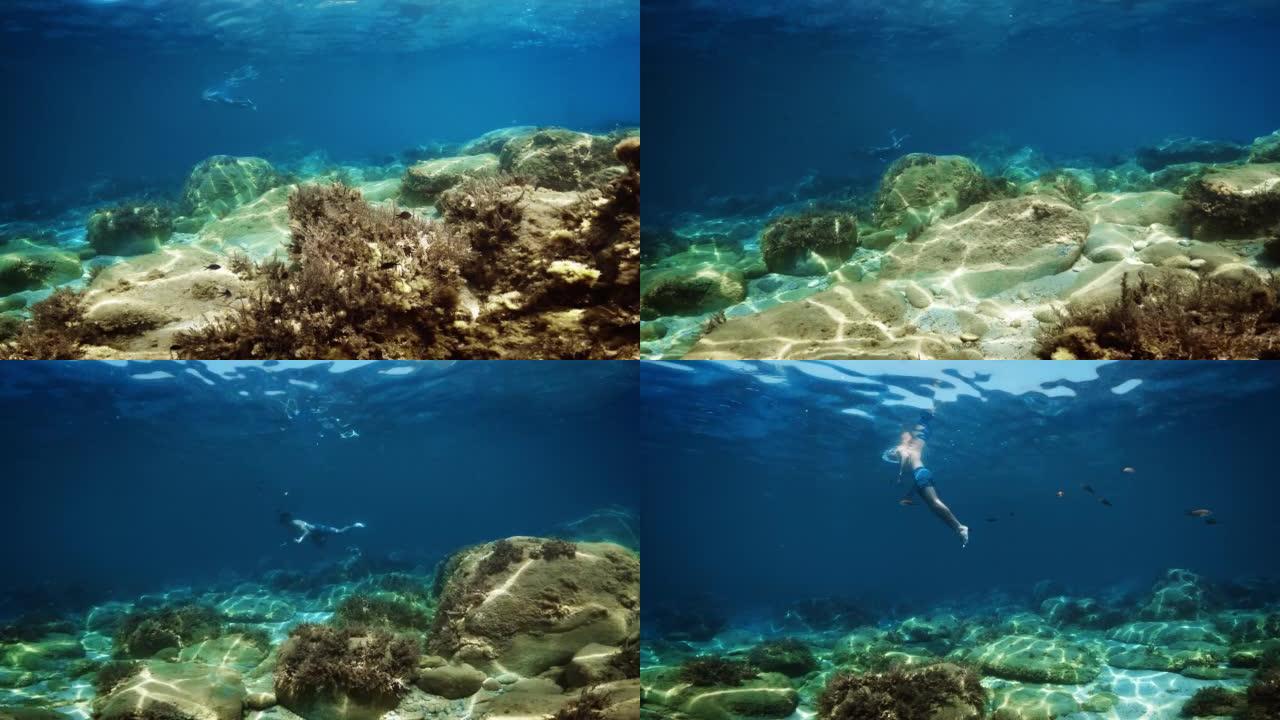 Relaxing view of Underwater Life