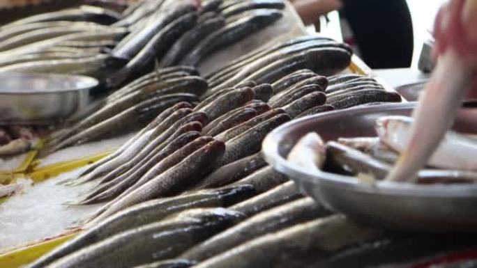 在鱼市场的展示柜上摆放新鲜的鱼。