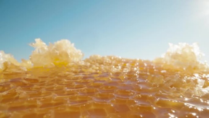 金色蜂蜜在蓝天背景下的蜂巢中。多莉滑块极限特写。老瓦探测器。慢动作。