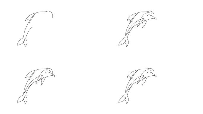 海豚的自画动画，海豚科。白色背景。复制空间。