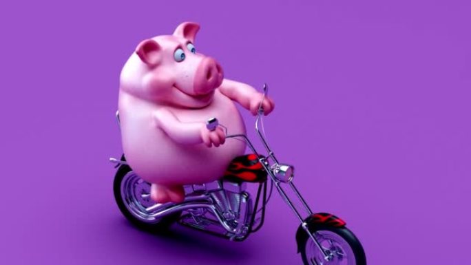 摩托车上猪的有趣3D卡通动画