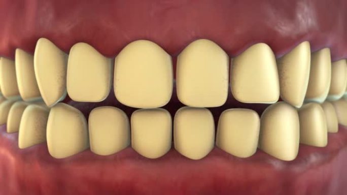 黄色牙齿到白色牙齿或牙齿美白动画