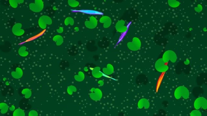 五颜六色的鱼在池塘里游泳顶视图3D 4k循环动画