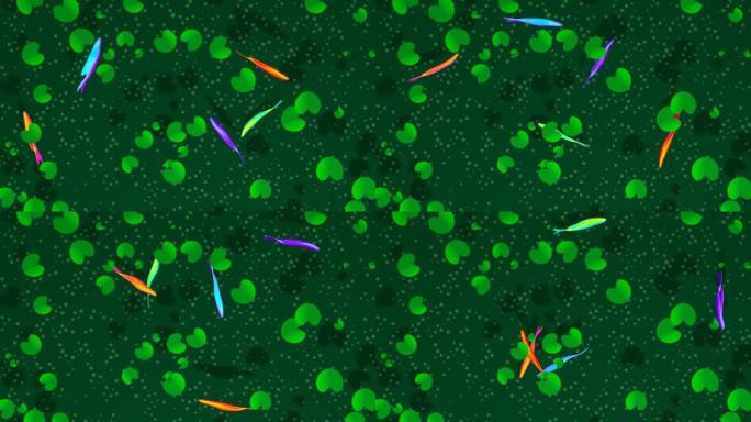 五颜六色的鱼在池塘里游泳顶视图3D 4k循环动画