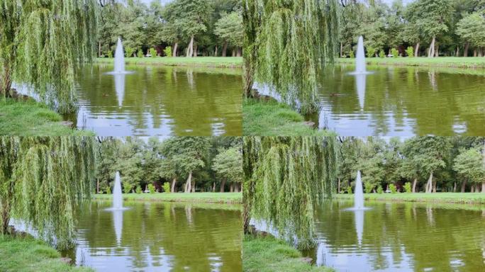 城市公园里有喷泉的池塘附近的自然。在iPhone 13 pro相机上拍摄的视频示例。
