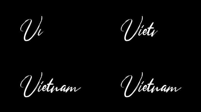越南文字素描写视频动画4K