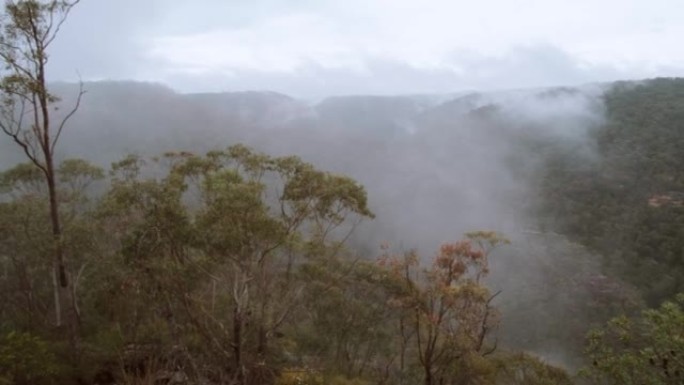 被雾笼罩的劳森瞭望台，蓝山国家公园，澳大利亚