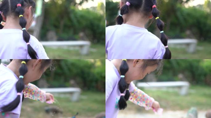 亚洲小女孩正在喂孔雀