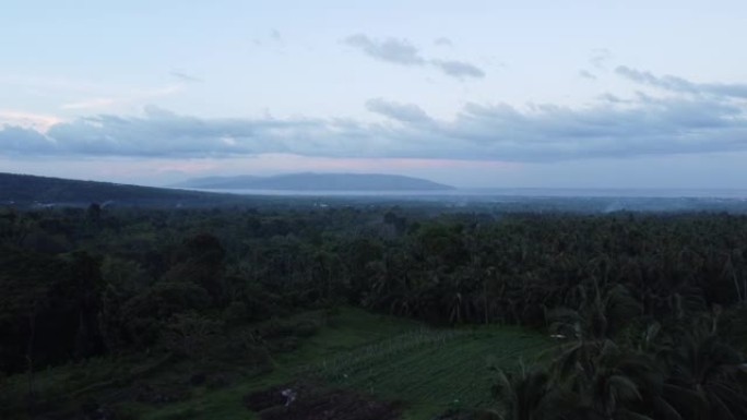 晚上好。从上面看。大型热带森林。多种植物。常青树，棕榈树。田野里犁了一点土地。在远处你可以看到大海。