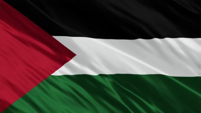 4K巴勒斯坦国旗动画库存视频-巴勒斯坦国旗挥舞-巴勒斯坦国旗库存视频
