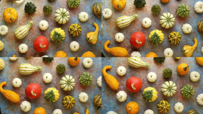 Colorful mini pumpkins on rusty background. Fall b