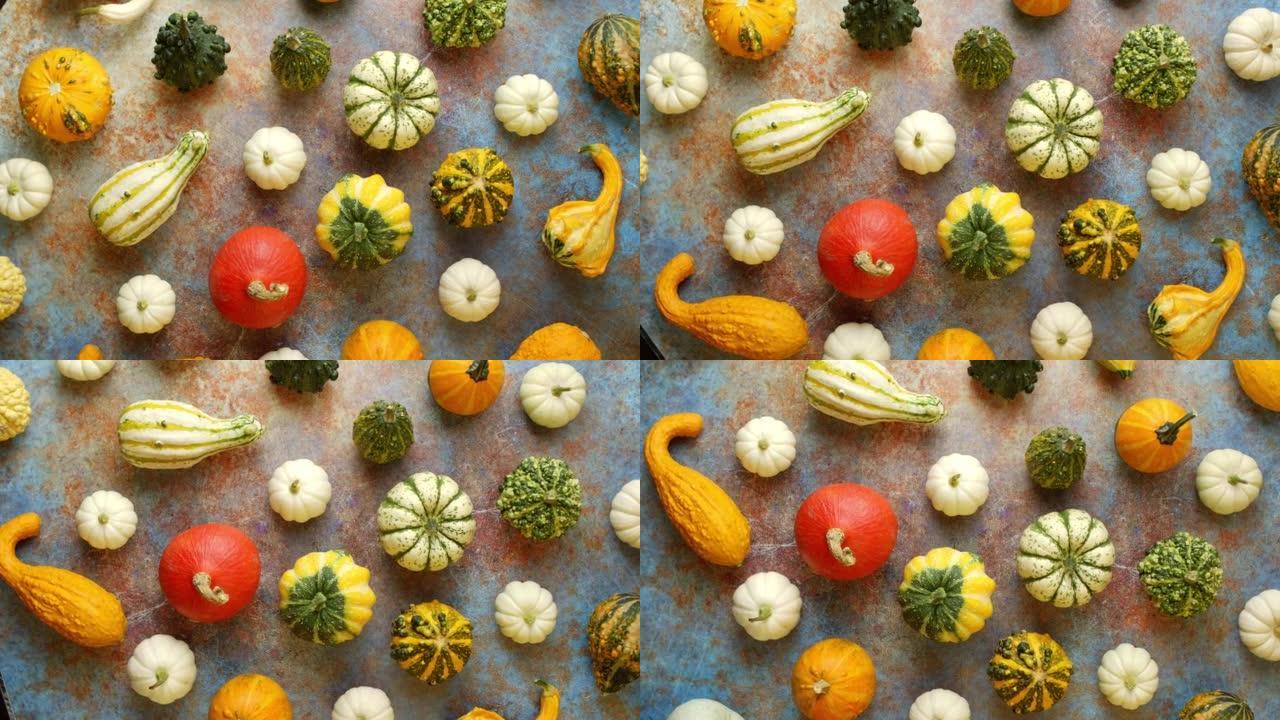 Colorful mini pumpkins on rusty background. Fall b