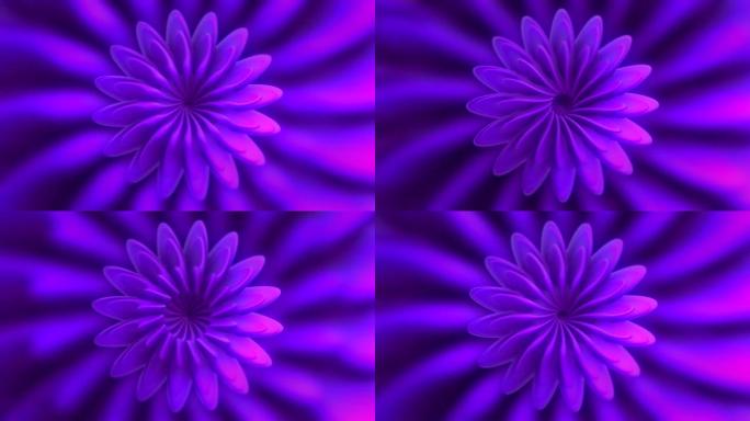 外星丁香形状的花，花瓣不断变化，无缝循环。运动。异形绽放对称的花朵。