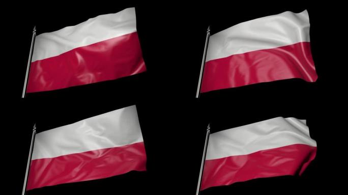 旗杆上的波兰国旗。带有alpha通道的3D动画