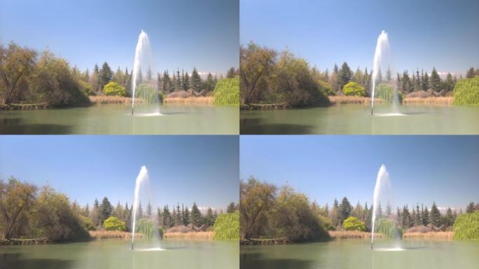 视频泻湖，背景为绿树，中央为喷泉。水平拍摄和复制空间