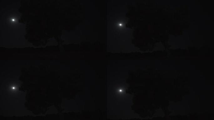 满月，孤树，相机平移