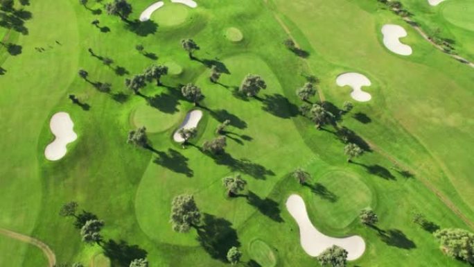 高尔夫球场上绿草和树木的鸟瞰图。