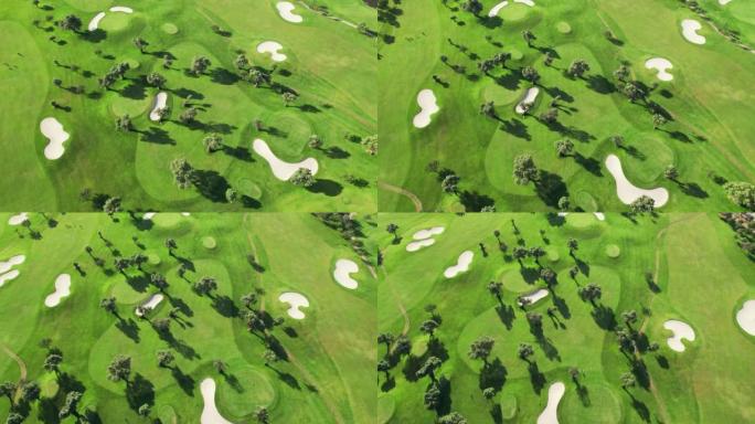 高尔夫球场上绿草和树木的鸟瞰图。
