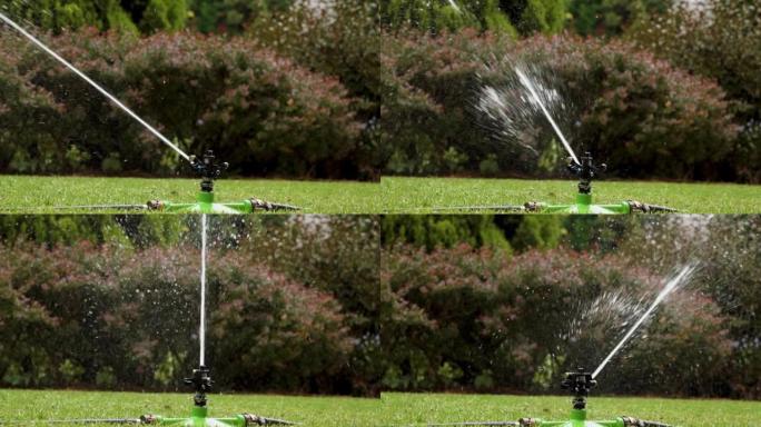 自动浇水洒水喷头在绿草和灌木丛上喷射水