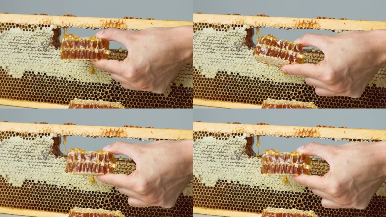 从桌子上的木制框架中的开放式蜂窝中切割蜂蜜