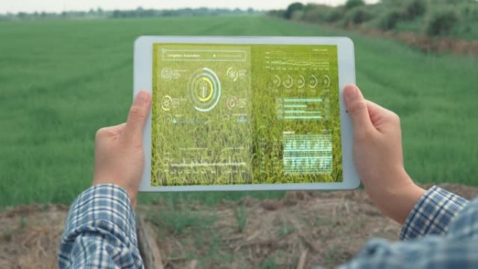 农夫在水稻农场中使用数字平板电脑，通过科学技术和视觉图形显示控制绿色水稻有机智能农场。