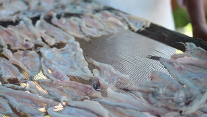 印尼工人安排鱼在阳光下晒干，制成稀薄的咸鱼干