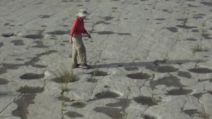 女人探索新近发现的充满雨水的恐龙足迹科罗拉多纠察线峡谷地